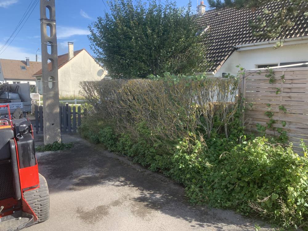 Clôture en panneaux rigide avec brise vue en bruyère