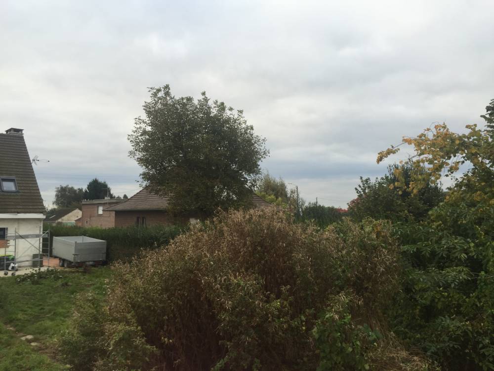  (Avant) Remise en état d' un terrain en vue d'un semis de gazon et plantation sur Camphin en Carembault