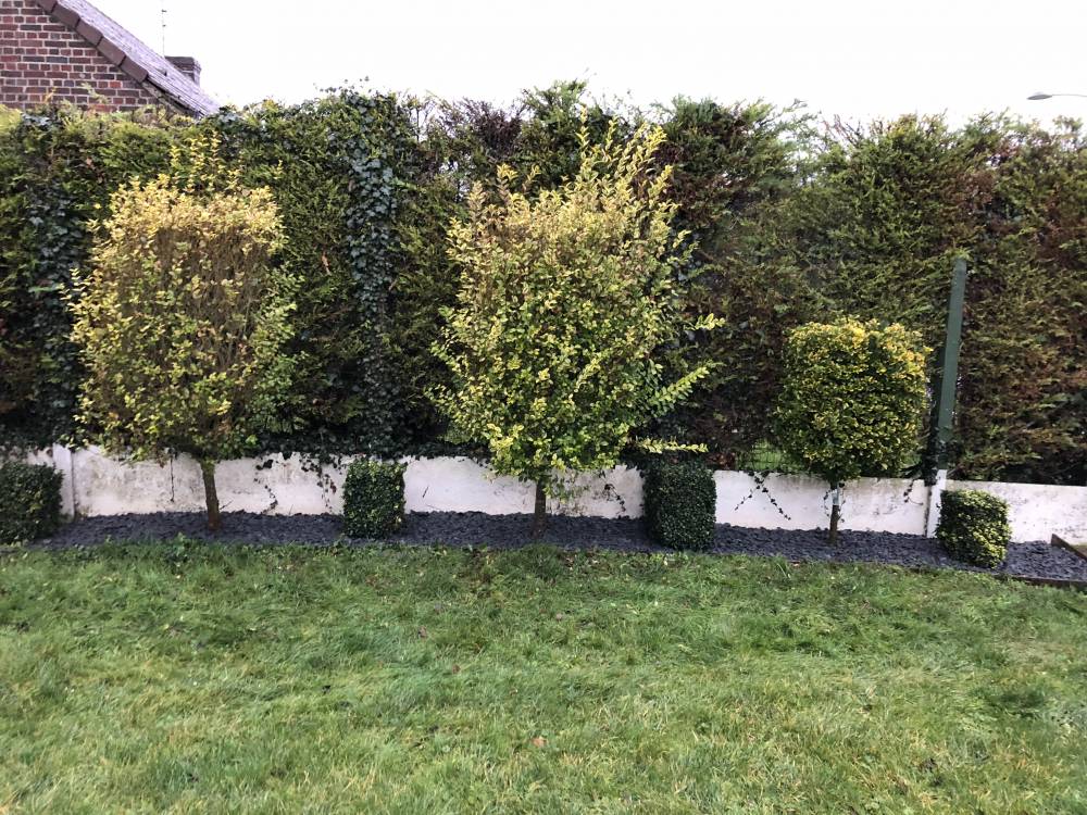 Mise en place de gabion, réalisation d'un massif et terrassement sur Bénifontaine